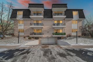 18559 Escanaba Avenue 201, Lansing, IL 60438