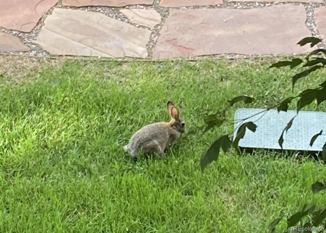 1401 Delgany Street 203, Denver, CO 80202