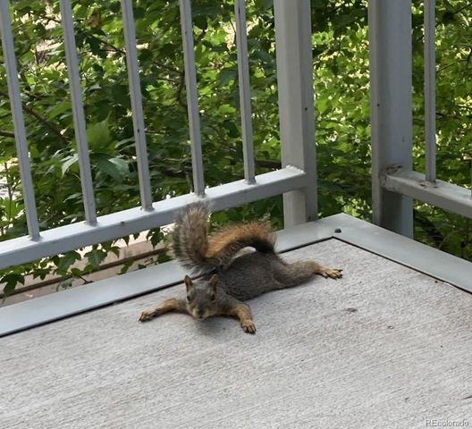 1401 Delgany Street 203, Denver, CO 80202