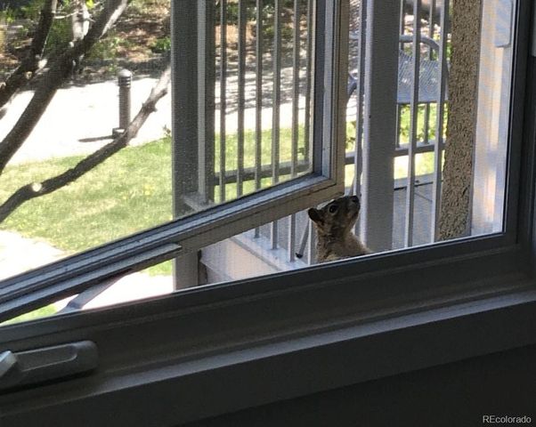 1401 Delgany Street 203, Denver, CO 80202