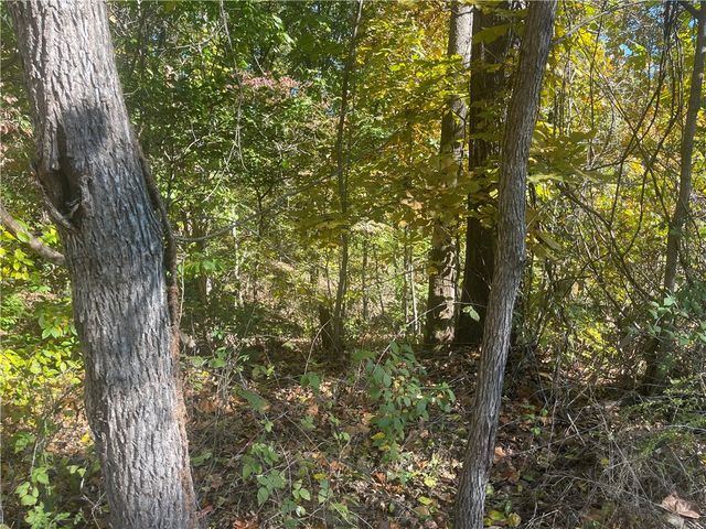 Lot 19 Weedon Lane, Bella Vista, AR 72714