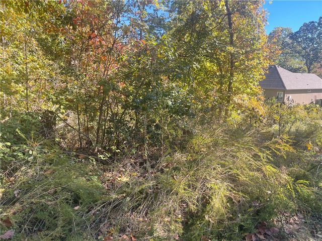 Lot 19 Weedon Lane, Bella Vista, AR 72714