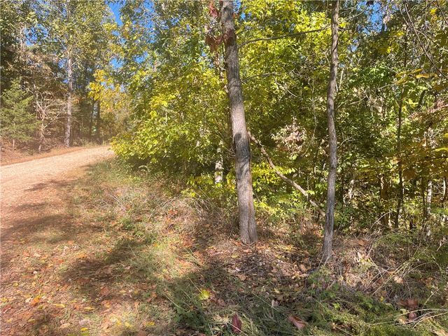 Lot 19 Weedon Lane, Bella Vista, AR 72714