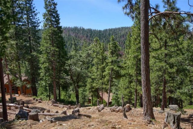 7497 Yosemite Park Way, Yosemite, CA 95389