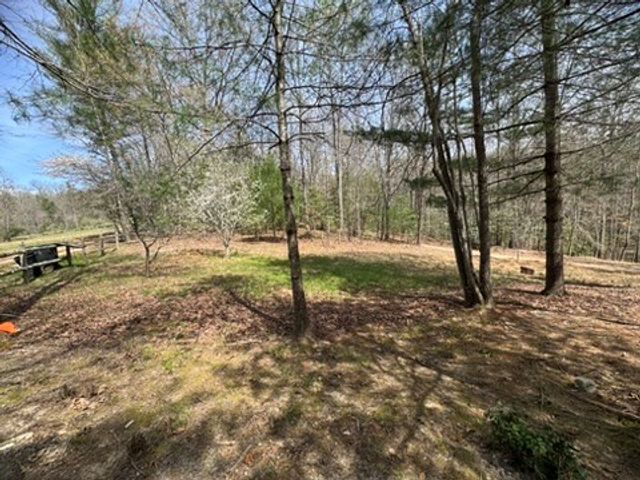 22 & 26 Ao Lane, Morganton, GA 30560