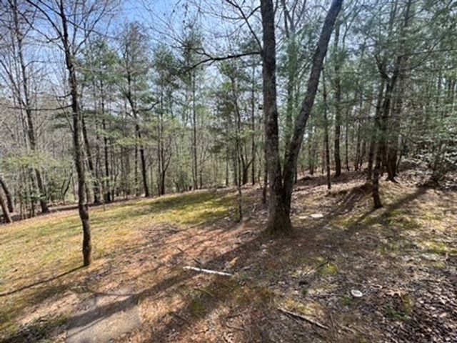22 & 26 Ao Lane, Morganton, GA 30560