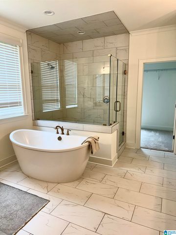 2472 MURPHY PASS, Hoover, AL 35244