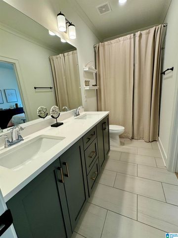 2472 MURPHY PASS, Hoover, AL 35244