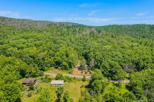 296 Irish Cape Road, Napanoch, NY 12458
