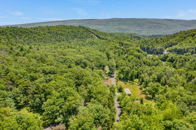 296 Irish Cape Road, Napanoch, NY 12458