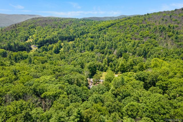 296 Irish Cape Road, Napanoch, NY 12458