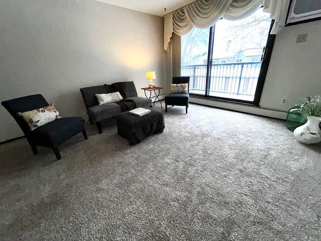 7350 York Avenue S 203, Edina, MN 55435