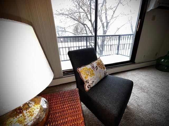 7350 York Avenue S 203, Edina, MN 55435