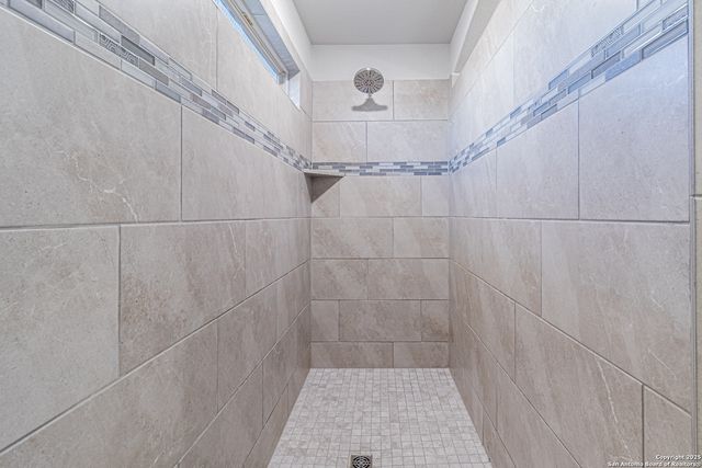 205 Pudu Trl, Cibolo, TX 78108