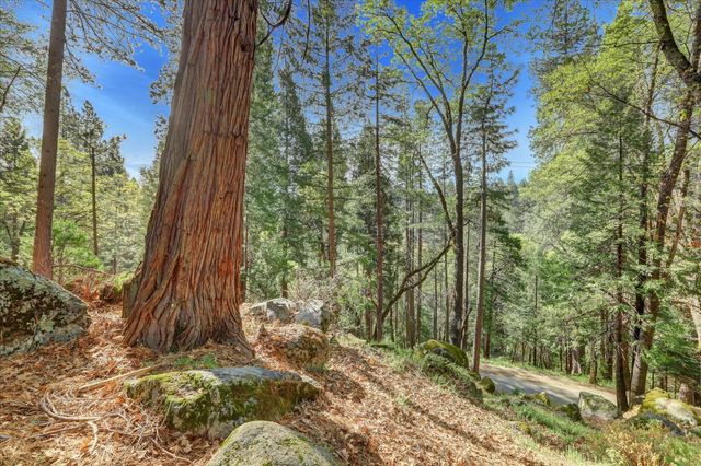 464 Monroe St, Nevada City, CA 95959