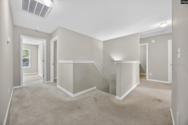 324 Wild Olive Drive, Columbia, SC 29229