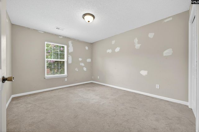 324 Wild Olive Drive, Columbia, SC 29229