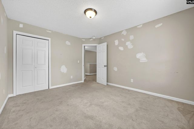 324 Wild Olive Drive, Columbia, SC 29229