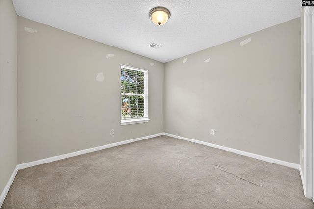 324 Wild Olive Drive, Columbia, SC 29229