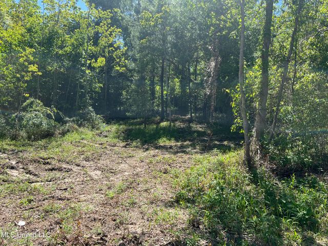 136 Leopold Street, Bay Saint Louis, MS 39520