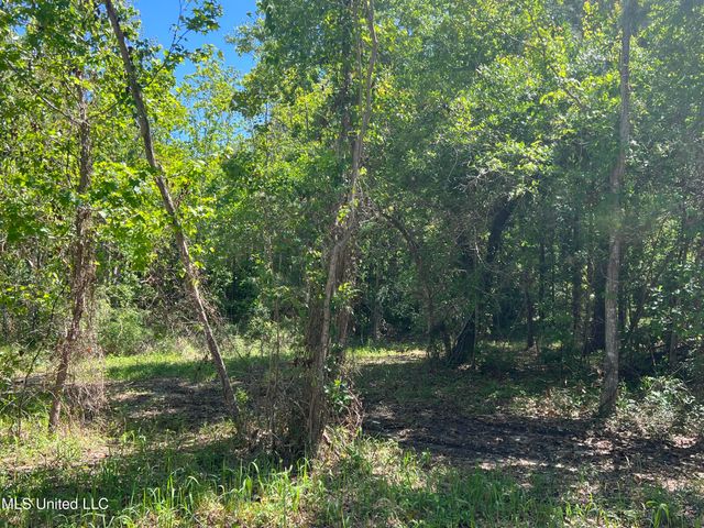 136 Leopold Street, Bay Saint Louis, MS 39520