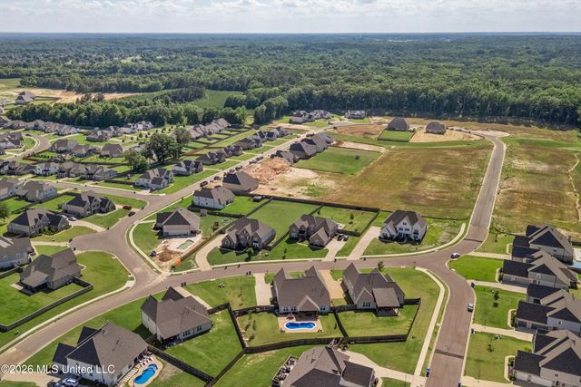 13738 River Grove Lane, Olive Branch, MS 38654