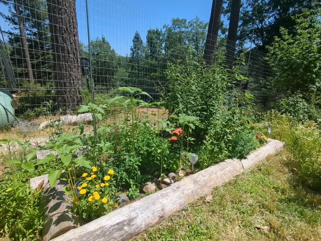 15528 Ca-49, Camptonville, CA 95922