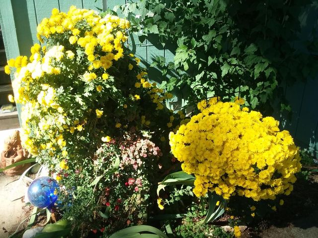 15528 Ca-49, Camptonville, CA 95922