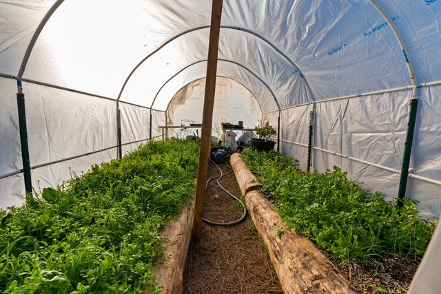 15528 Ca-49, Camptonville, CA 95922