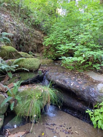 15528 Ca-49, Camptonville, CA 95922