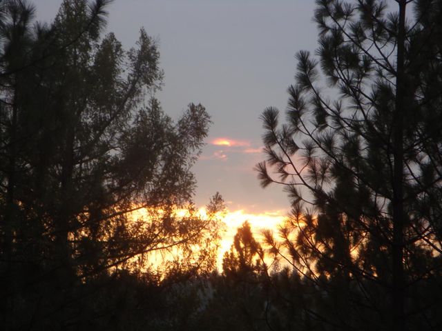 15528 Ca-49, Camptonville, CA 95922