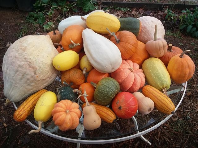 15528 Ca-49, Camptonville, CA 95922