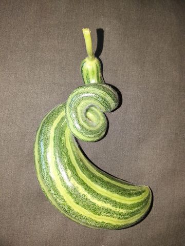 15528 Ca-49, Camptonville, CA 95922