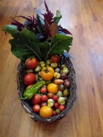 15528 Ca-49, Camptonville, CA 95922