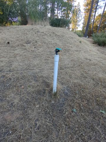 15528 Ca-49, Camptonville, CA 95922