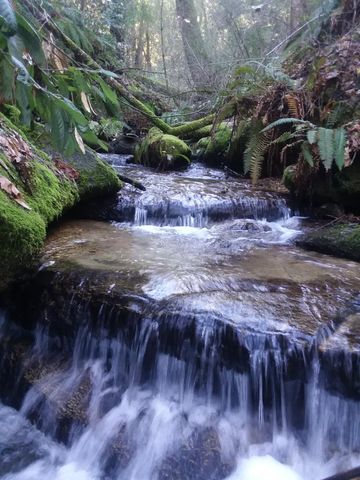 15528 Ca-49, Camptonville, CA 95922