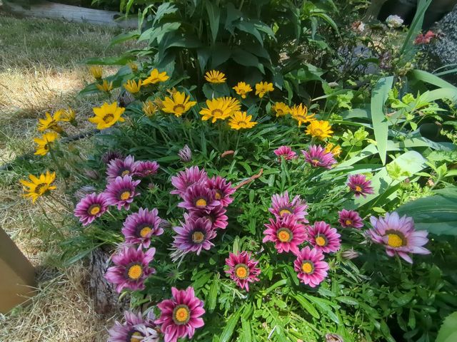 15528 Ca-49, Camptonville, CA 95922