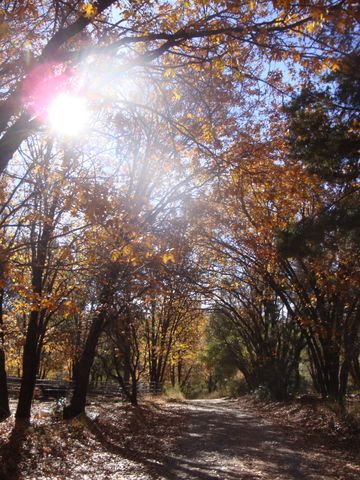 15528 Ca-49, Camptonville, CA 95922