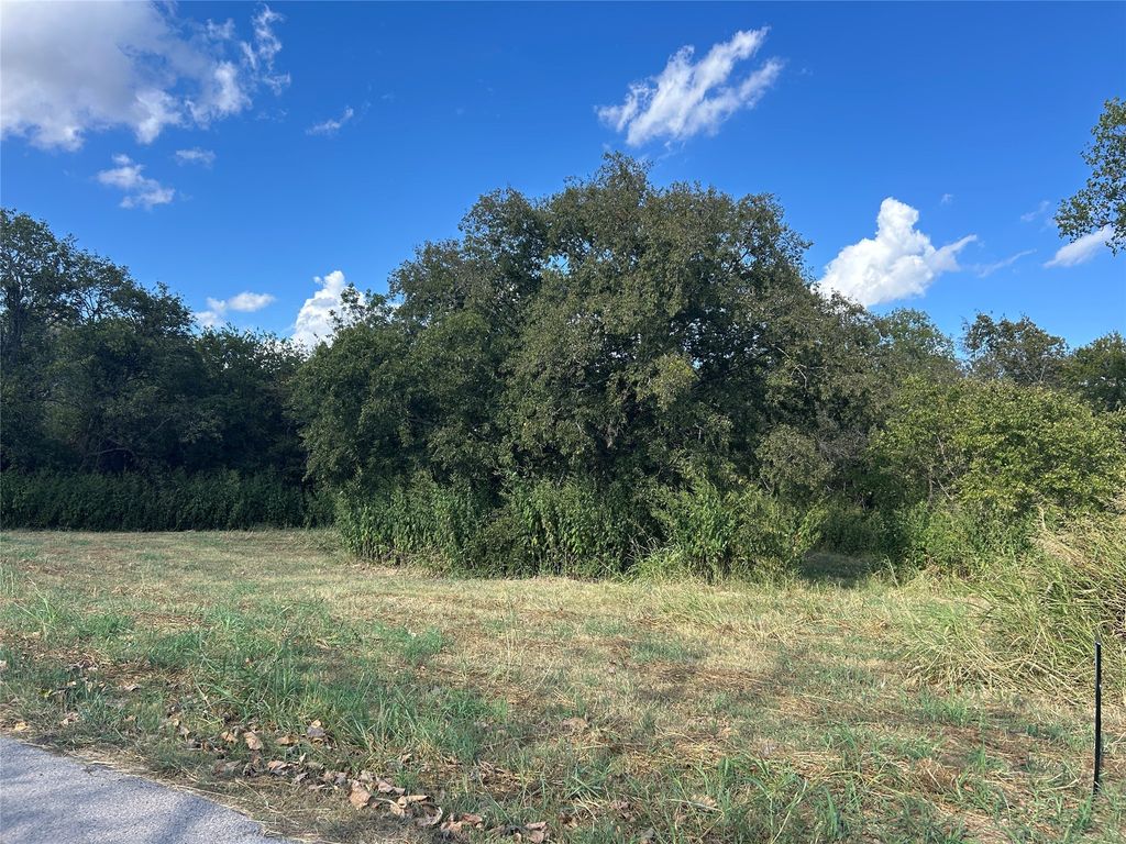 301 Inez Hardy Way, Grandview, TX 76050