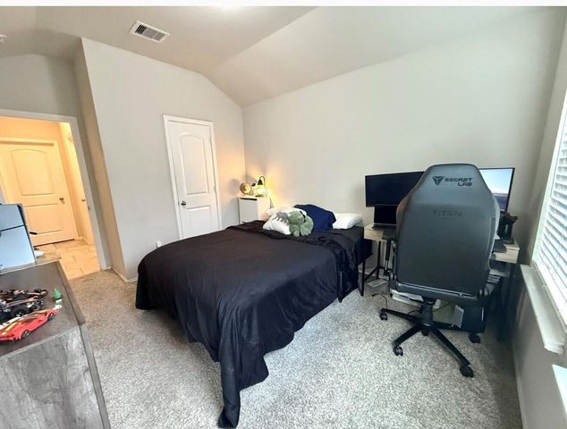 13916 Payette Arbor Court, Conroe, TX 77384