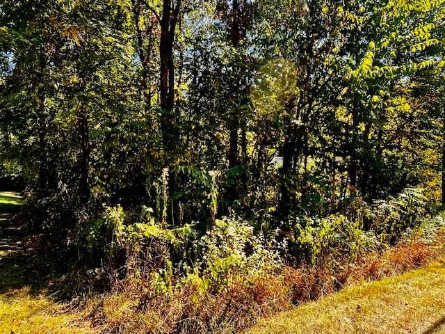 3142 Apple Valley Drive, Howard, OH 43028