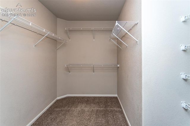 7489 Alpine Daisy Drive, Colorado Springs, CO 80925