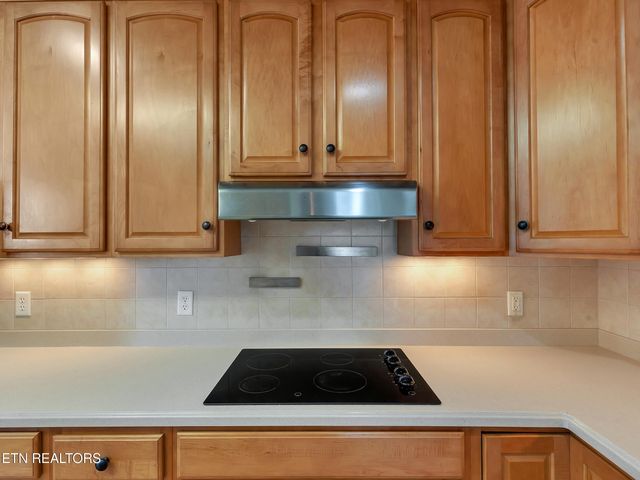 1511 Atlee Summit Lane, Knoxville, TN 37931