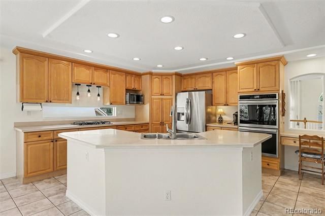 10425 Colby Canyon Drive, Highlands Ranch, CO 80129