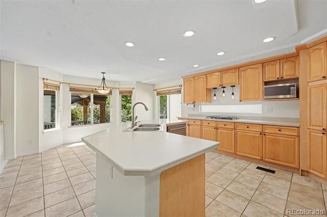 10425 Colby Canyon Drive, Highlands Ranch, CO 80129