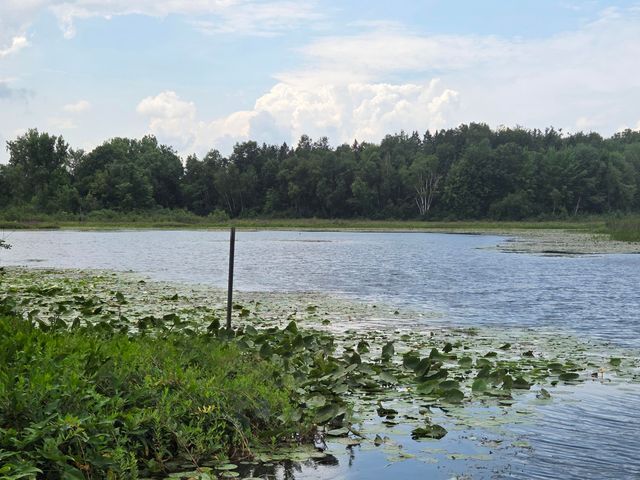 4790 4th Street, Barryton, MI 49305