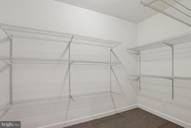 6064 DUNNBROOK TER, Haymarket, VA 20169