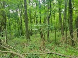 Kerns Drive, Bolivar, OH 44621