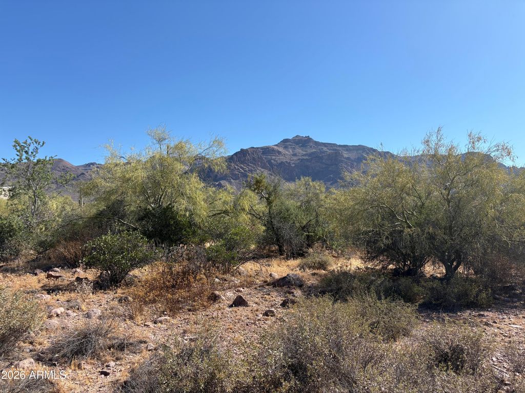 10890 E CACTUS VIEW Circle 9, Gold Canyon, AZ 85118 — photo 2