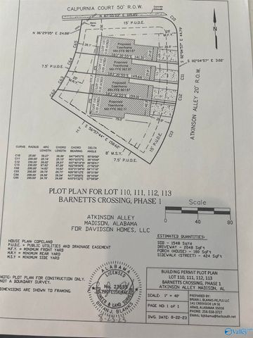 100 Atkinson Alley, Madison, AL 35758